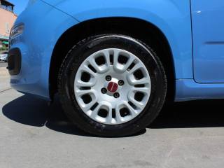 FIAT Panda usata, con Airbag Passeggero