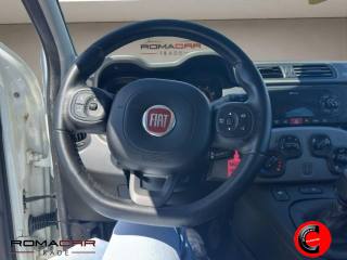 FIAT Panda usata, con Fendinebbia
