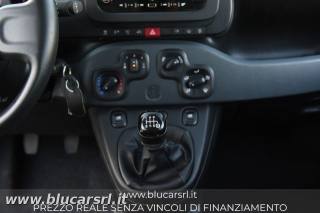 FIAT Panda usata 22