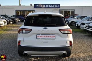 FORD Kuga usata, con Sedile posteriore sdoppiato