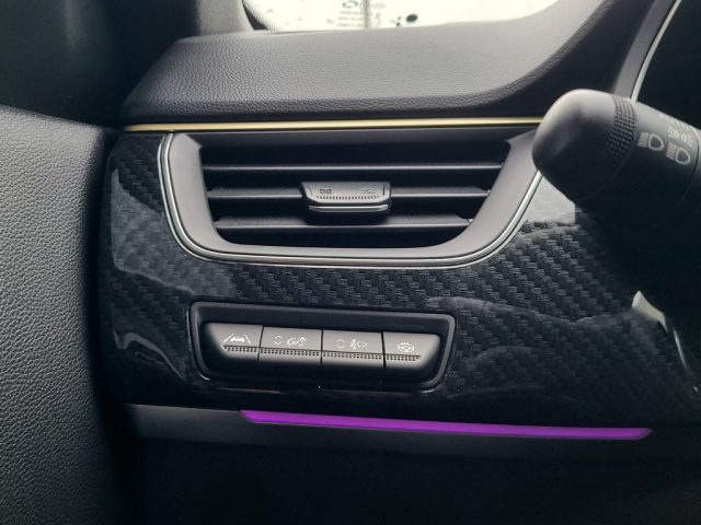 RENAULT Arkana usata, con Vetri oscurati