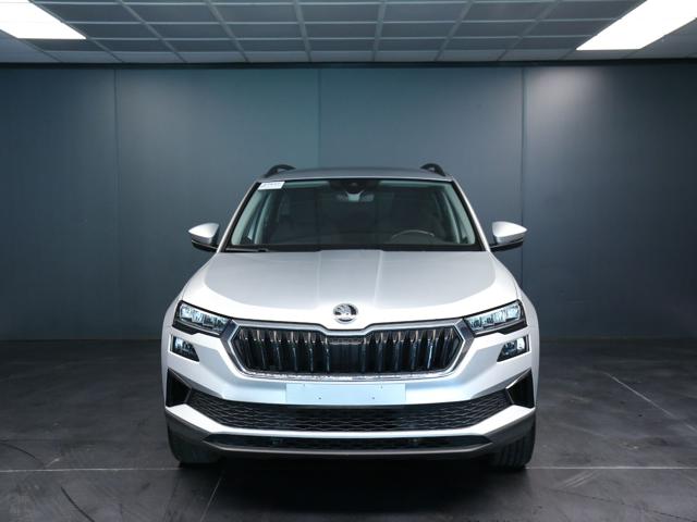 SKODA Karoq usata, con Airbag
