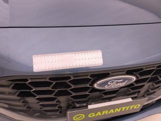 FORD Focus usata, con Supporto lombare