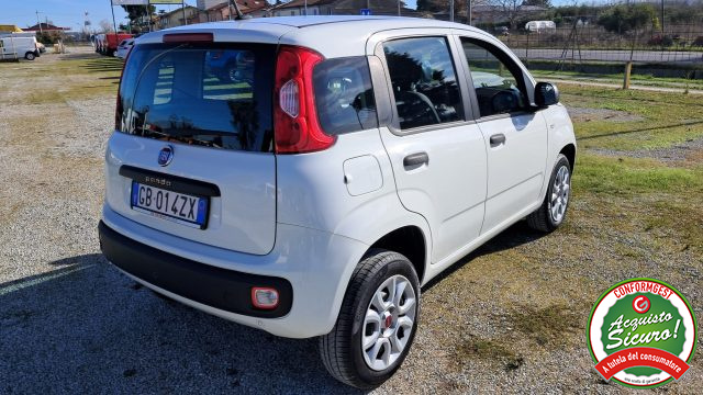 FIAT Panda usata, con Airbag
