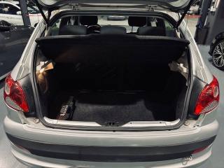 PEUGEOT 206 usata 13