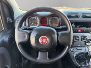 FIAT Panda usata 9