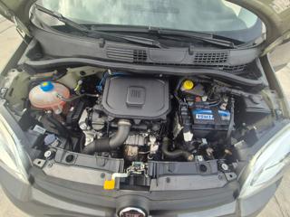 FIAT Panda usata 14