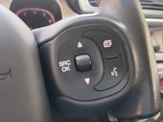 FIAT Panda Cross usata, con Specchietti laterali elettrici