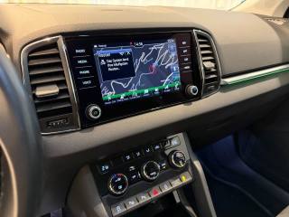 SKODA Karoq usata, con Fendinebbia