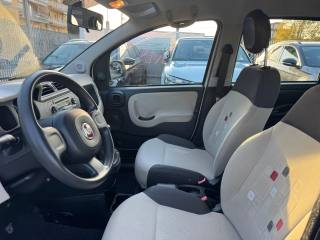 FIAT Panda usata, con Controllo trazione