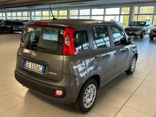 FIAT Panda usata, con Chiusura centralizzata