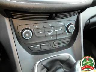 FORD C-Max usata, con Vetri oscurati