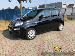 FIAT Panda 1.2 Pop Clima ,5 Posti
