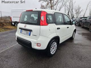FIAT Panda usata, con Chiusura centralizzata