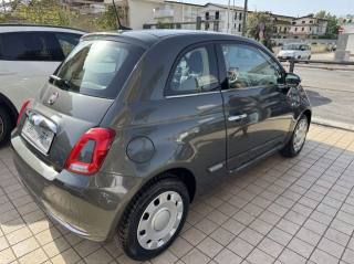 FIAT 500 usata, con Alzacristalli elettrici