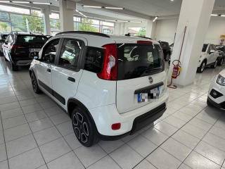 FIAT Panda usata, con Controllo trazione