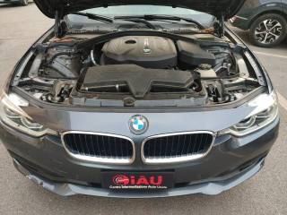 BMW 318 usata, con Fendinebbia