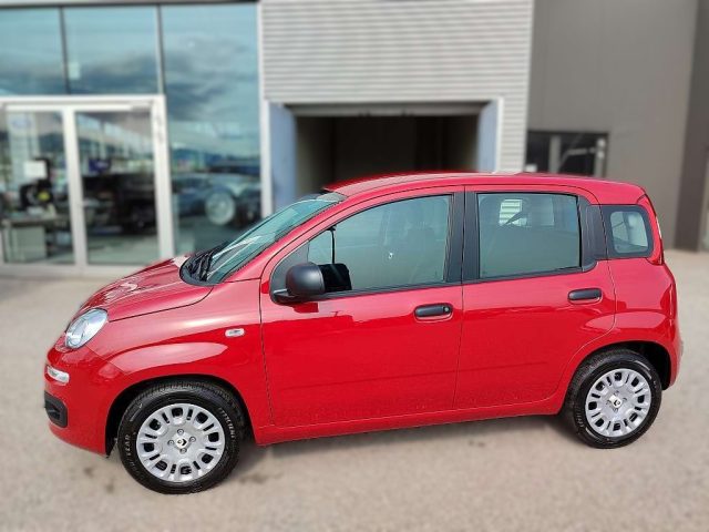FIAT Panda usata, con Climatizzatore