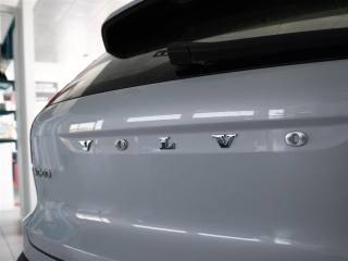 VOLVO XC40 usata, con Fendinebbia