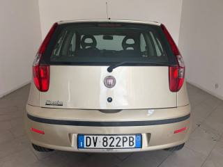 FIAT Punto usata 5