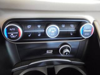 ALFA ROMEO Stelvio usata 41