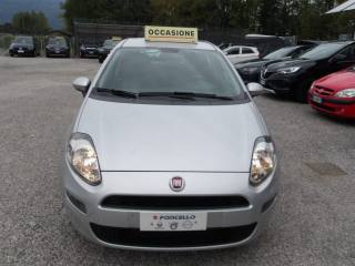 FIAT Punto usata, con Controllo trazione