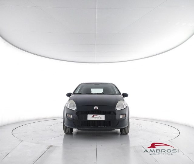 FIAT Punto usata 4
