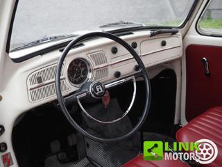 VOLKSWAGEN Maggiolino usata 3