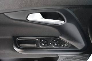FIAT Tipo usata, con Airbag testa