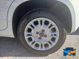FIAT Panda usata 17