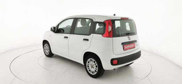 FIAT Panda usata 42