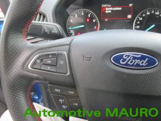 FORD EcoSport usata, con Airbag testa