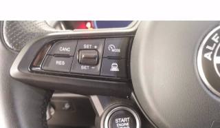 ALFA ROMEO Tonale usata, con Autoradio digitale