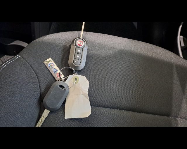 FIAT New Panda usata 18