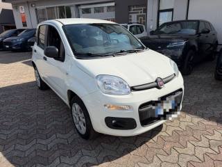 FIAT Panda usata, con Airbag Passeggero