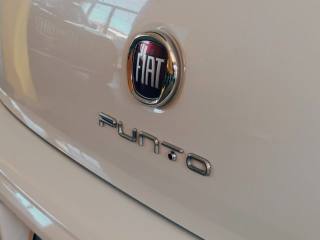 FIAT Punto usata, con Volante multifunzione