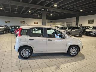 FIAT Panda usata, con Alzacristalli elettrici