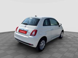 FIAT 500 usata 4