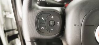 FIAT Panda usata 50