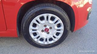 FIAT Panda usata 17