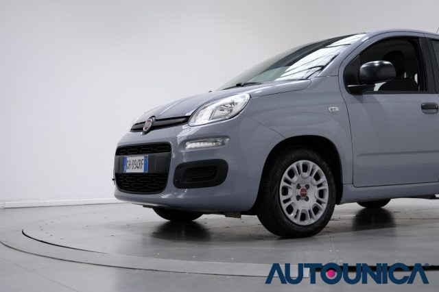 FIAT Panda usata 42
