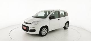 FIAT Panda usata 25
