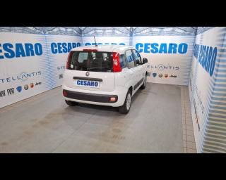 FIAT New Panda usata, con Airbag Passeggero