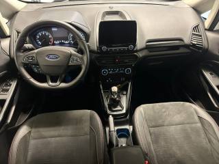 FORD EcoSport usata, con Cronologia tagliandi