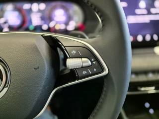 SKODA Octavia usata, con Servosterzo