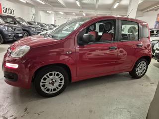 FIAT Panda usata, con Alzacristalli elettrici