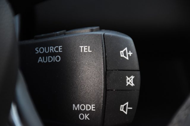 RENAULT Grand Scenic usata, con Luci diurne LED