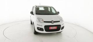 FIAT Panda usata 25