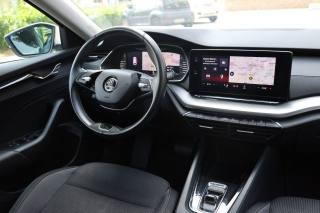 SKODA Octavia usata 137