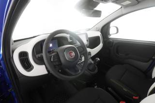 FIAT Panda usata 7